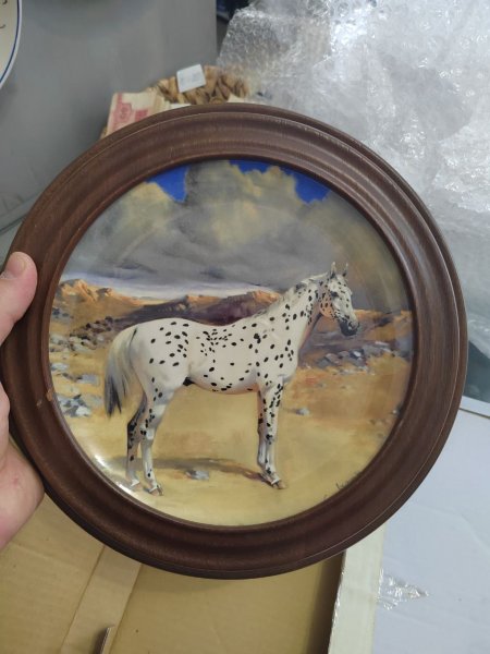 Винтажная Декоративная Тарелка Лошадь Appaloosa